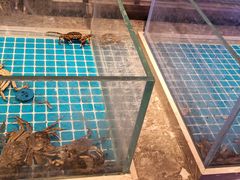 -一方渔歌蒸汽海鲜自助(文化路万达广场店)