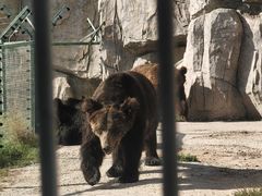 -鄂尔多斯野生动物园