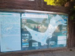 -龙寺生态园