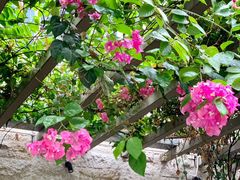 -香香海南菜餐厅