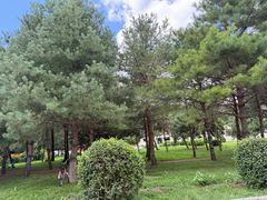 -吉林大学(前卫南区)