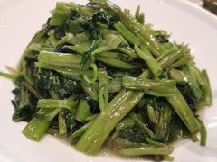 -广信传说