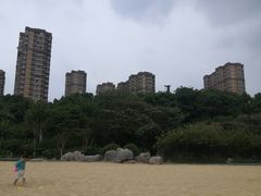 -青枫公园