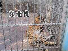 -西安秦岭野生动物园