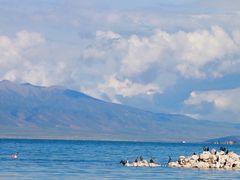 -青海湖国家重点风景名胜区