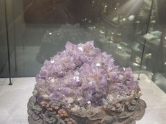 -长江文明馆
