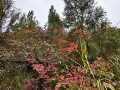 -白帝城·瞿塘峡景区