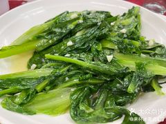 蒜蓉油麦菜-隆都四季香饭店(碧海路店)