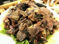 -易门野生菌府·菌海森林(月牙潭公园店)