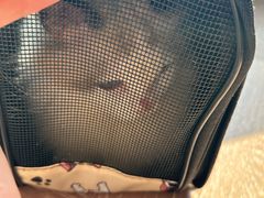 -瑞派康怡24h宠物医院·犬猫医疗中心·微创绝育(瑞景分院)