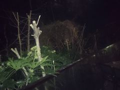 -中国湿地博物馆