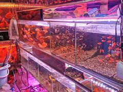 -双季花艺园艺市场(浦东店)