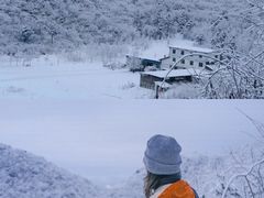 -武陵山森林公园