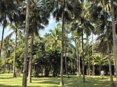 -中国科学院西双版纳热带植物园