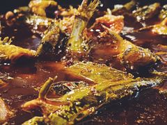 -金海椒罐罐鲢鱼(东方桂苑店)