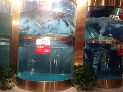 -蜀滋香鲜鱼美蛙火锅(339店)