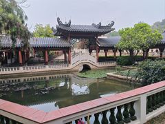 -广东花都湖国家湿地公园
