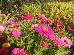 -永定河休闲森林公园