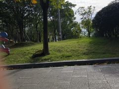 -牛岗山公园