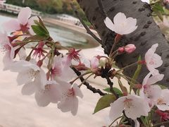 -新江湾城公园