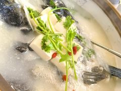 -宝荣鱼馆·临湖之宴(千岛湖店)