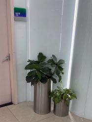 -AIST爱思特医疗美容医院