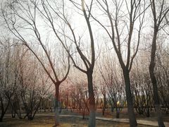 -吉林大学(前卫南区)