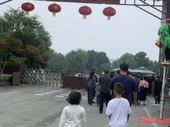 -泗洪洪泽湖湿地景区