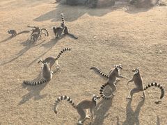 -秦皇岛野生动物园