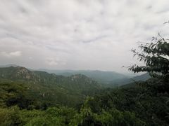 -大岭沟猕猴桃谷风景区