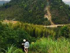 -广州市流溪河国家森林公园