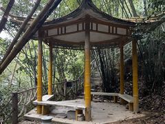-滴水岩森林公园