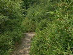 -杭州半山国家森林公园