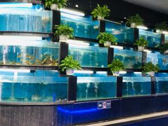 水产区-王家渡火锅店(棕榈泉店)