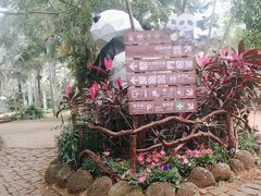 -海南热带野生动植物园