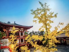 -潜山国家森林公园