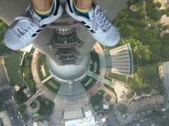 -东方明珠国际旅行社有限公司