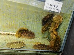 -科信海鲜主题餐厅(南通路店)
