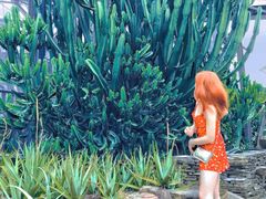 -华南国家植物园-售票处