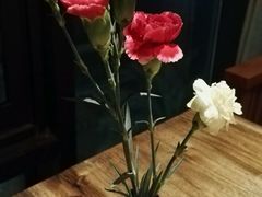 -喜越泰莱·泰越料理(海逸新天地店)