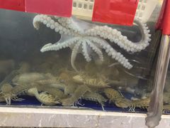 -鱼市酒店(威海水产批发市场店)