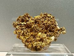 -中国地质博物馆