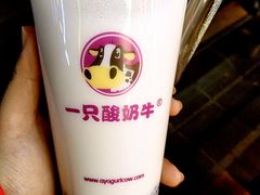 -一只酸奶牛(八一路店)
