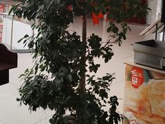 -偶屋里钵少爷(时代广场店)