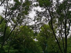 -森林公园(尖草坪区)