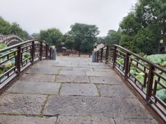 -绍兴大禹开元观堂-若耶厅