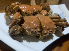 -呼吸森林·生态农庄农家乐私房菜