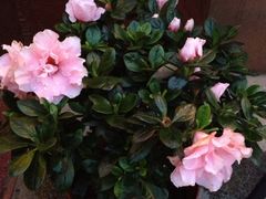 -Together·泰式按摩精油SPA(天山店)