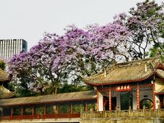 -成都市文化公园