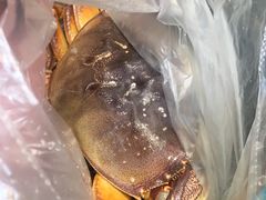 -吾悦广场(南京鼓楼店)